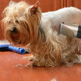 Cordless Pet Trimmer